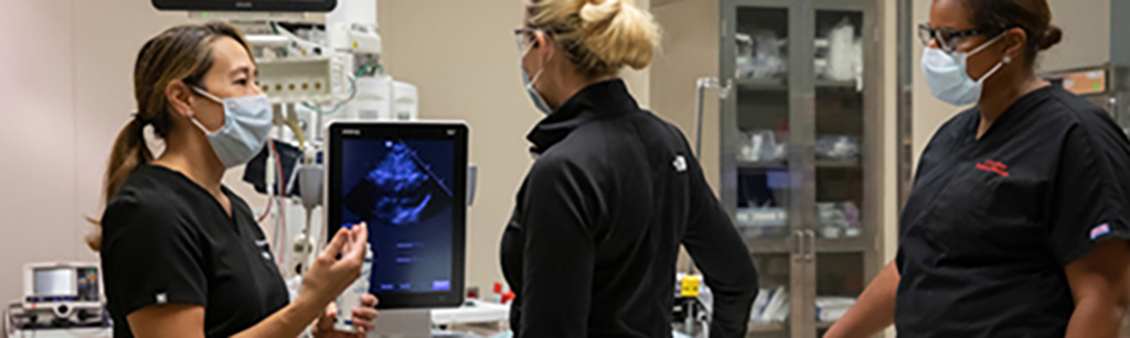Three female physicians training on ultrasound